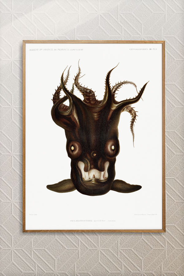 Vintage Wall Art - Black Squid Scientific Illustration